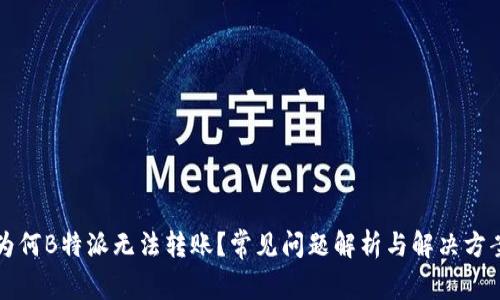 为何B特派无法转账?常见问题解析与解决方案