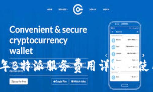 2023年B特派服务费用详解及使用指南