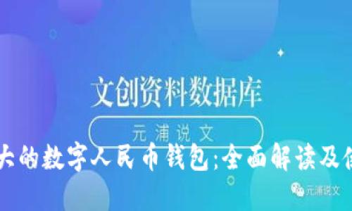 中国最大的数字人民币钱包:全面解读及使用指南