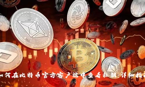 如何在比特币官方客户端中查看私钥:详细指南