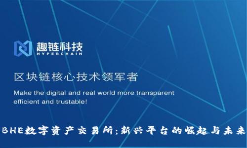 探秘BHE数字资产交易所:新兴平台的崛起与未来发展