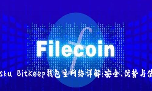 lutaoshu BitKeep钱包主网络详解:安全、优势与使用方法