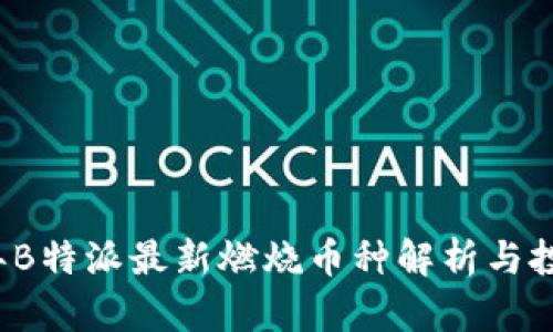 2023年B特派最新燃烧币种解析与投资指南